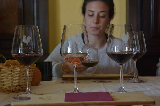 Private Chianti with Lunch Half Day from Florence - Stop 1 in Panzano in Chianti: vineyards, old cellars, and Sangiovese roots