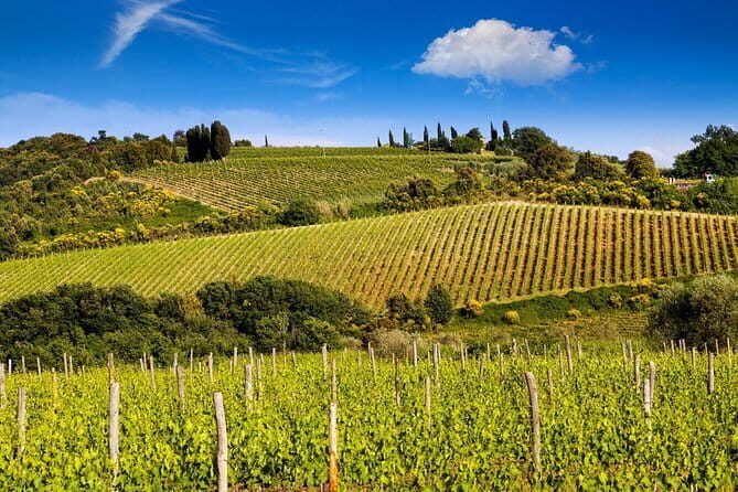 Private Classic Wine Tour in Chianti from Florence - Key highlights you’ll actually notice