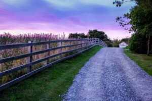 Private Day Tour from Florence to Pisa, Chianti and San Gimignano - Piazzale Michelangelo Sunset Stop: The Florence Finale