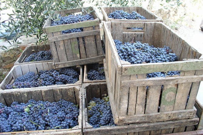 Private Day Trip to Montalcino and Montepulciano from Florence - Key things you’ll love
