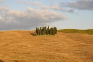 Private Day Trip to Montalcino and Montepulciano from Florence - Montalcino: Brunello tastings, Rocca views, and a relaxed town center