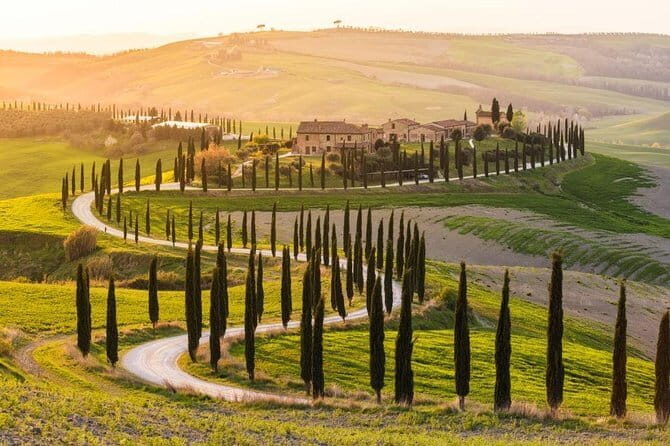 Private Day Trip Tuscany Landscape and Wine Tasting from Florence - Key highlights at a glance