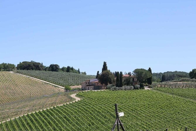 Private daytrip to Siena & Chianti wine country, with wine tasting from Florence - How the private driver changes the day (and why you’ll feel it)
