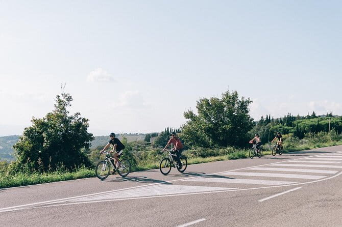 Private E-bike Tour in Chianti from Florence - English-Speaking, Private Group Pacing: Why It Matters on an E-Bike