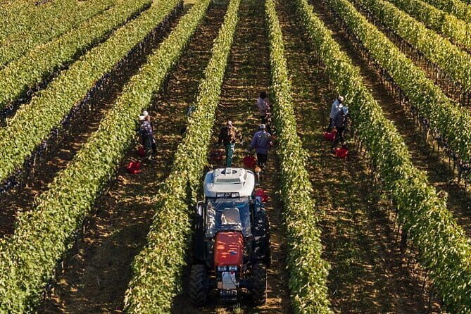 PRIVATE Full-Day Brunello Wine experience from Florence - Stop 5: Paradiso di Cacuci, all-female family-run wine and olive oil