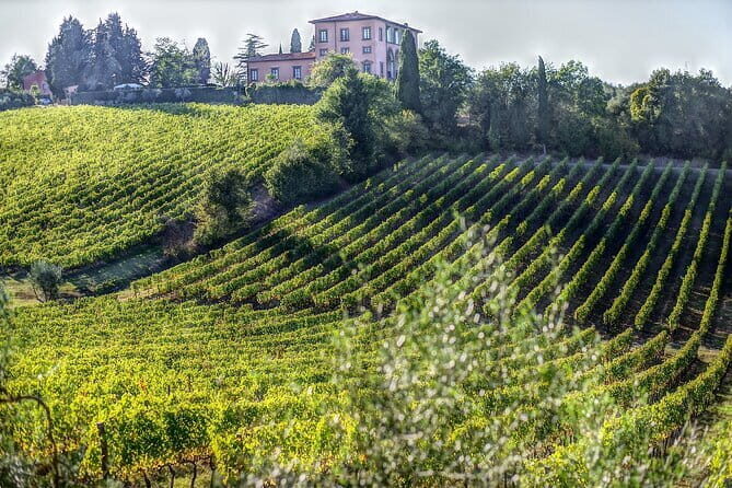 PRIVATE Full-Day Wine Experience in Chianti Classico. - A private Chianti Classico day that actually feels “day-long”