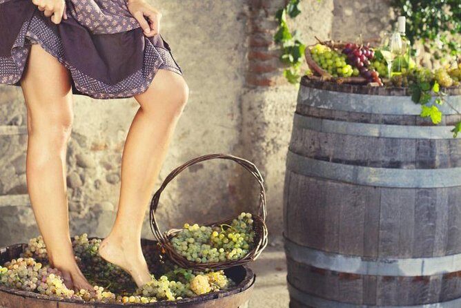 Private Grape stomping in Chianti from Florence - Why this grape-stomping Chianti stop beats a typical wine tour