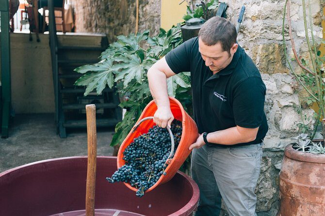 Private Grape stomping in Chianti from Florence - Price and value: what $473.22 really buys you