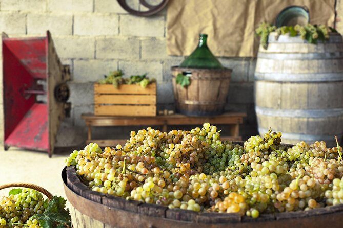Private Grape stomping in Chianti from Florence - Practical tips: what to pack and how to get the most out of the day