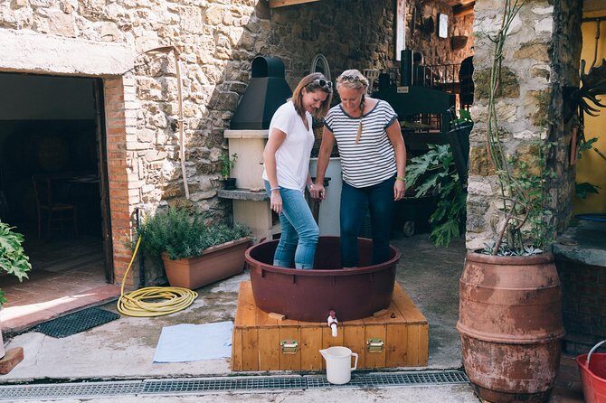 Private Grape stomping in Chianti from Florence - The Florence-to-Chianti run: what the timing and pickup mean