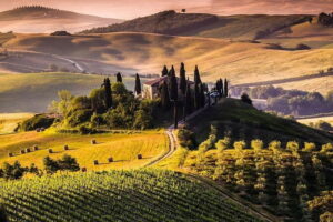 Private guided tour: Siena San Gimignano and Chianti - San Gimignano’s tower skyline and Vernaccia: what to look for