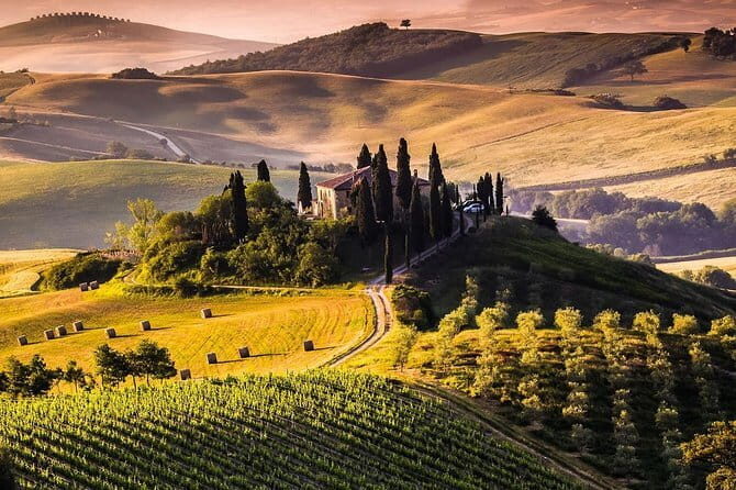 Private guided tour: Siena San Gimignano and Chianti - San Gimignano’s tower skyline and Vernaccia: what to look for