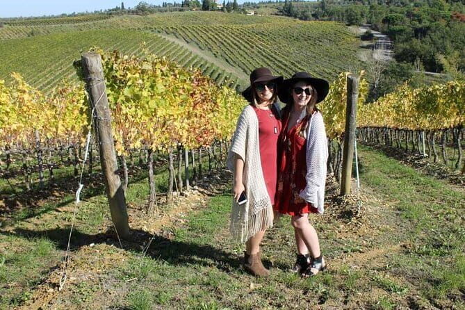 PRIVATE Half-Day Tour: Chianti Classico Wine Experience. - Price and what you really get for $293.09 per person