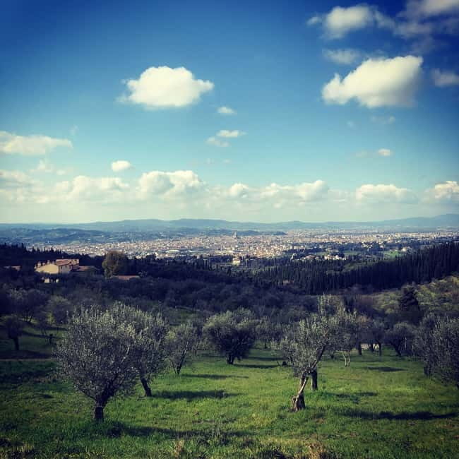 Private Hiking Florence Tour with Wine and Lunch or semi-pri - Cypress woods to first Florence views: where the day clicks