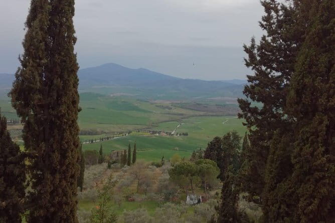Private Montepulciano & Pienza Day Trip from Florence - Pecorino di Pienza at a traditional cheese factory (and a lunch option)
