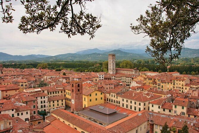 Private Pisa and Lucca Tour from Florence with Transportation - Door-to-door transportation in an A/C Mercedes (and why it matters)