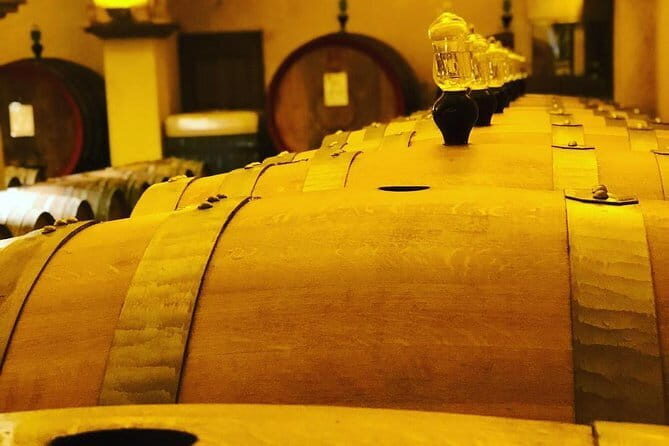 Private Top Brunello Montalcino Wine Tour & Food Pairing Session - Door-to-door Mercedes pickup: the easiest way to reach wine country