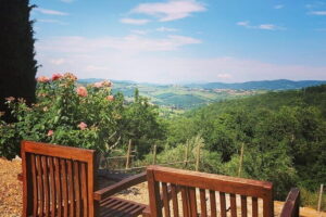 Private Top Brunello Montalcino Wine Tour & Food Pairing Session - Three Montalcino estates: family producers, cellar time, and how tasting works