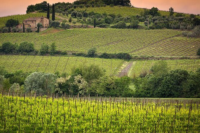 Private tour Brunello di Montalcino and Nobile di Montepulciano wine experience in Tuscany - Why This Brunello + Nobile Day Works So Well From Florence