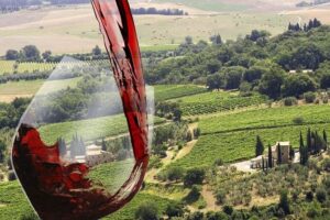 Private tour Brunello di Montalcino and Nobile di Montepulciano wine experience in Tuscany - Getting Started at Piazza Adua at 8:30 AM