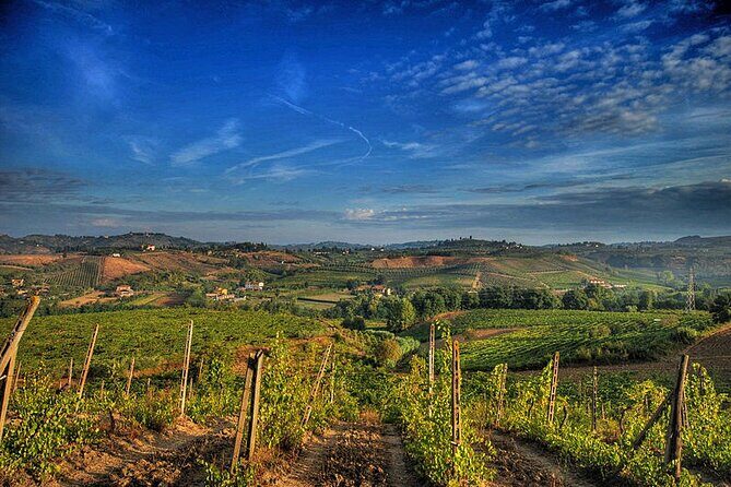 Private tour Brunello di Montalcino and Nobile di Montepulciano wine experience in Tuscany - Price and Value: What $462.61 Per Person Buys You