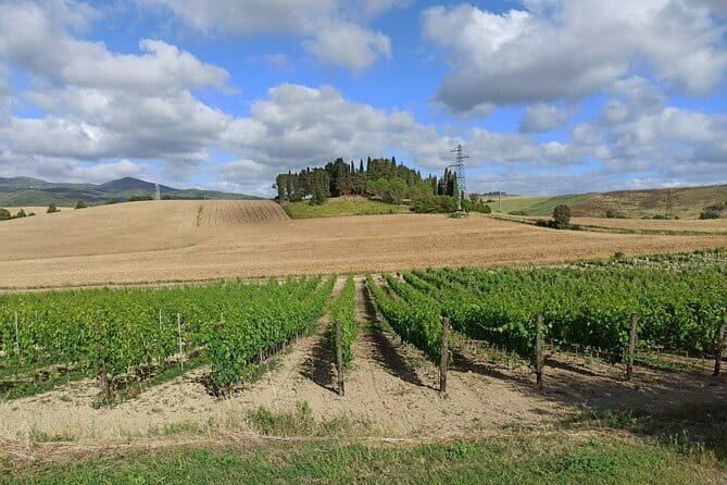 PRIVATE TOUR: Chianti Afternoon tour with visit to 2 wine farms - Why a Chianti afternoon beats a rushed full day from Florence
