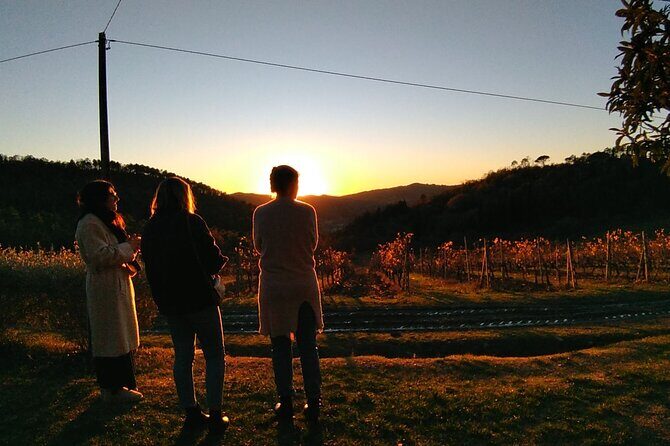 Private Tour- Chianti By Minivan At Sunset - Greve in Chianti: Piazza Matteotti and Real Town Rhythm