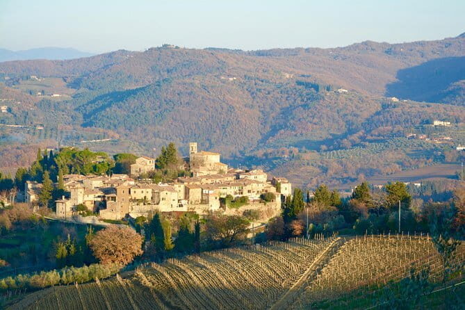 Private Tour: Chianti Region Tour by Minivan - Why a private minivan feels right for Chianti