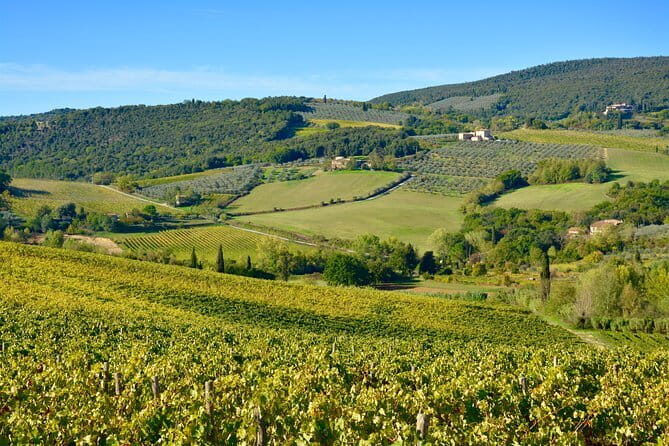 Private Tour: Chianti Region Tour by Minivan - Hilltop villages and shopping at your own pace