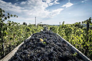 Private Tour: Chianti Winery, Montefioralle, and Greve in Chianti - Montefioralle Castle Views: Quick Stop, Big Wow Factor