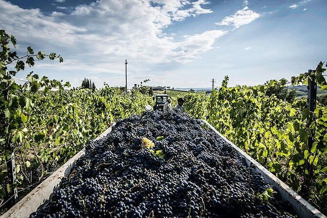 Private Tour: Chianti Winery, Montefioralle, and Greve in Chianti - Montefioralle Castle Views: Quick Stop, Big Wow Factor