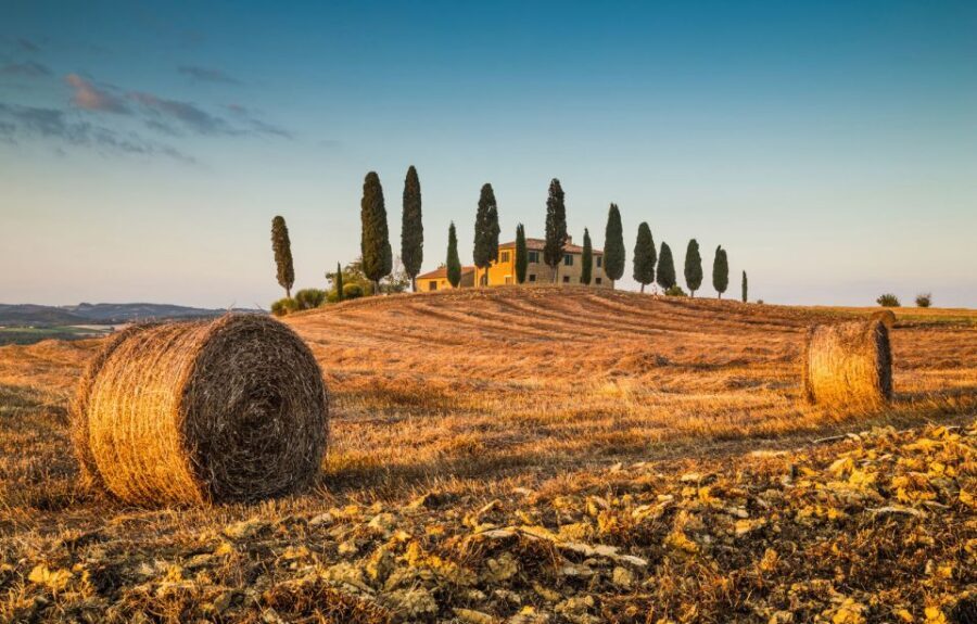 Private Tour From Florence to Cortona and Montepulciano - Cortona and Montepulciano: why this pairing works so well