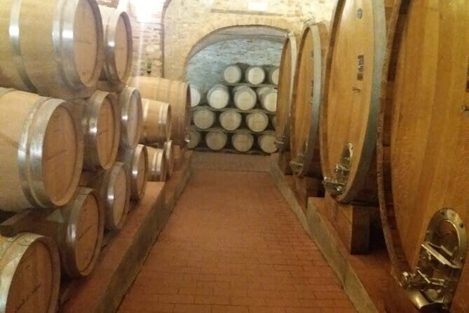 Private Tour in San Gimignano and Chianti Day Trip from Florence - Greve in Chianti and Falorni: Village Square + Famous Meats