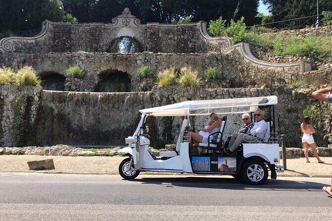 Private Tour of the Historic Center of Florence by Golf Car - Safety and Comfort: When Mobility Matters