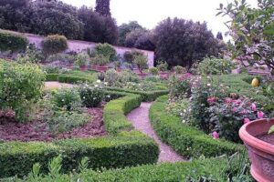 Private Tour of the Medici Family Villa in Florence - Villa La Petraia: Where You’ll Feel the Medici Lifestyle