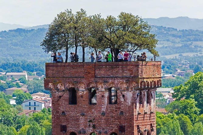 Private Tour: Pisa and Lucca from Florence - Key things that make this tour worth your time