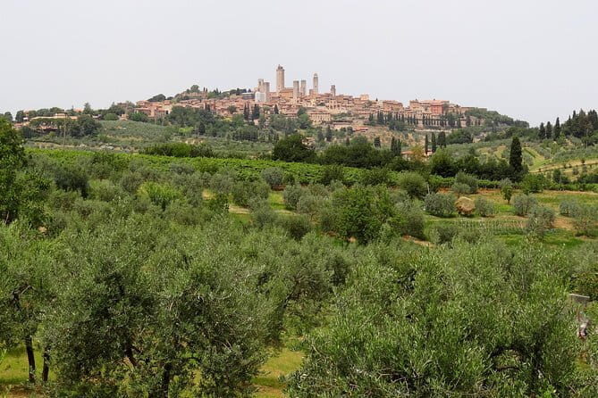 Private Tour to Siena and San Gimignano with Wine Tasting & Lunch - Key Things You Should Know Before You Go