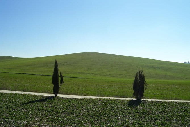 Private Tour to Siena and San Gimignano with Wine Tasting & Lunch - Why Siena and San Gimignano Work So Well Together