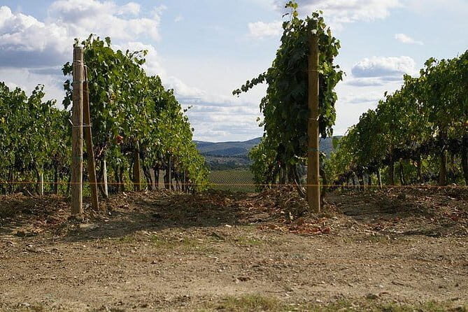 Private Tour to Siena and San Gimignano with Wine Tasting & Lunch - Price and What You Really Get for $588.12