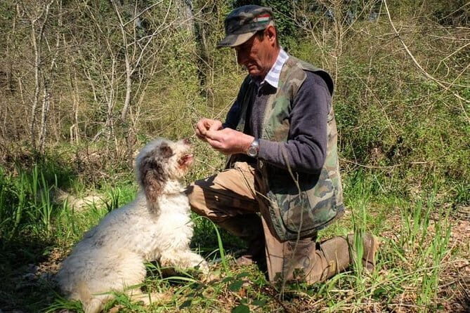 Private Truffle Hunting in Chianti from Florence - Key highlights at a glance