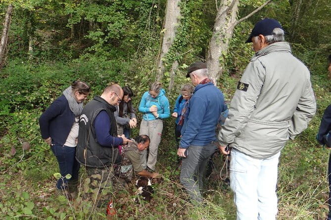 Private Truffle Hunting in Chianti from Florence - Price and value: what $488.55 buys you