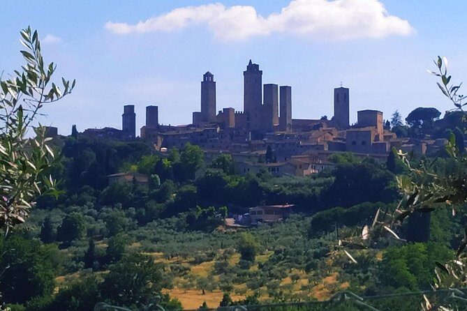 Private Tuscan Cooking Class And Wine Tasting in Radda in Chianti - Price and value: what $166 per person buys