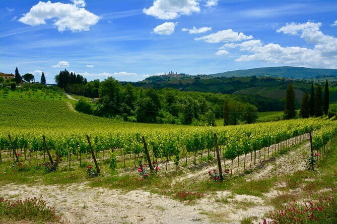 Private Tuscany Day Tour: San Gimignano and Chianti Wine Region from Florence - Chianti wine region time: steering toward your kind of countryside