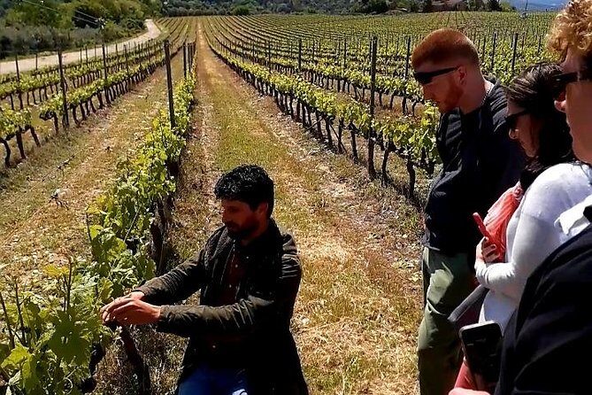 Private Wine Safari! Off-Road, Lunch in Winery in Tuscany! - Price and Value: Is $235.51 Worth It?