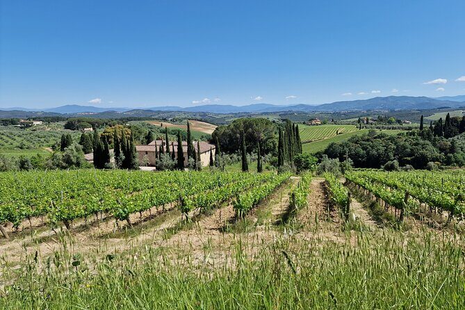 Private Wine Tour best of Chianti Tuscany 6 hours Limo Service - Price and what you get: value depends on the winery add-on