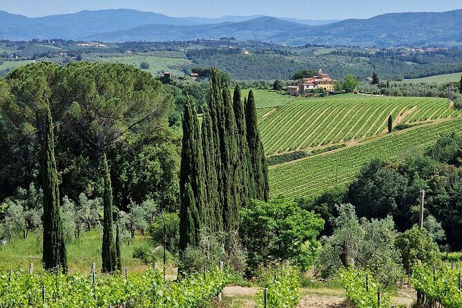 Private Wine Tour best of Chianti Tuscany 6 hours Limo Service - Who this tour fits best