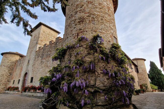 Private Wine Tour best of Chianti Tuscany 6 hours Limo Service - Should you book this private Chianti wine tour?