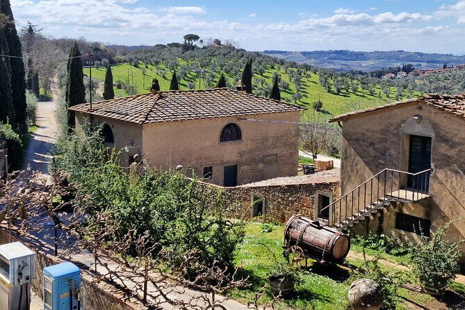 Private Wine Tour Top Wineries, Limousine Service, Florence Tours - Private limousine Chianti day from Florence: how the pace feels