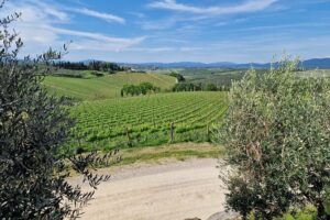 Private Wine Tour Top Wineries, Limousine Service, Florence Tours - Where you stop first: the optional 45-minute public winery visit