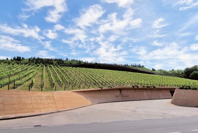 Private Wine Tour Top Wineries, Limousine Service, Florence Tours - Strada Statale 222 Chiantigiana: an hour of scenery and breathing room
